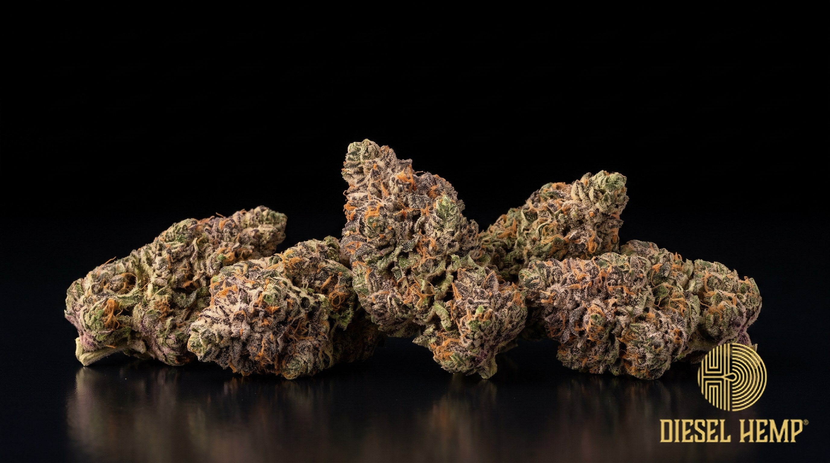 Watermelon Gelato strain cannabis buds in lime green with dark purple flecks, thin orange pistils and heavy trichome frost on a black background | Diesel Hemp