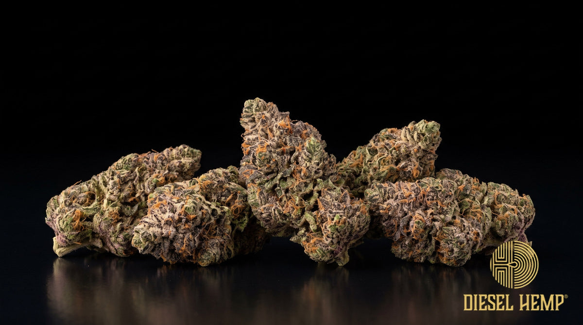 Watermelon Gelato strain cannabis buds in lime green with dark purple flecks, thin orange pistils and heavy trichome frost on a black background | Diesel Hemp