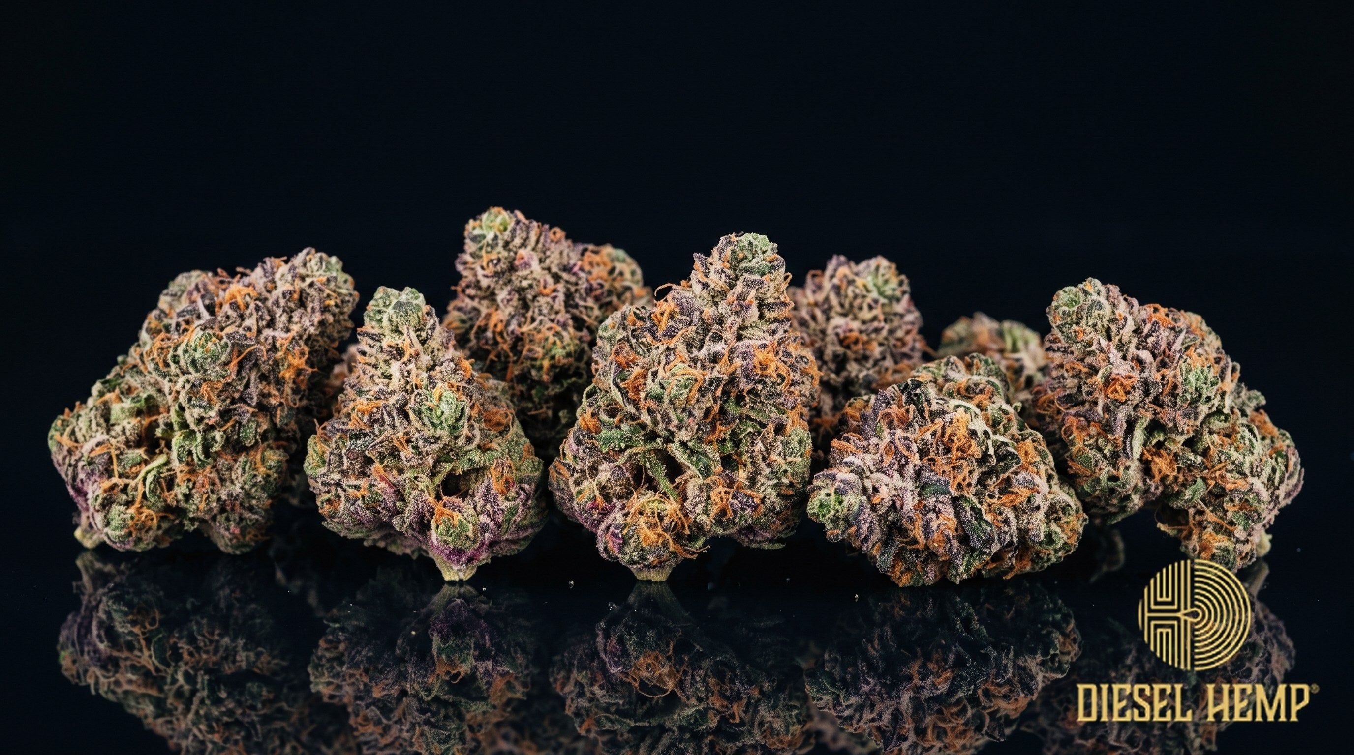 Watermelon Runtz strain cannabis buds in dark olive green with purple undertones, thin orange pistils and heavy trichome frost on a black background | Diesel Hemp