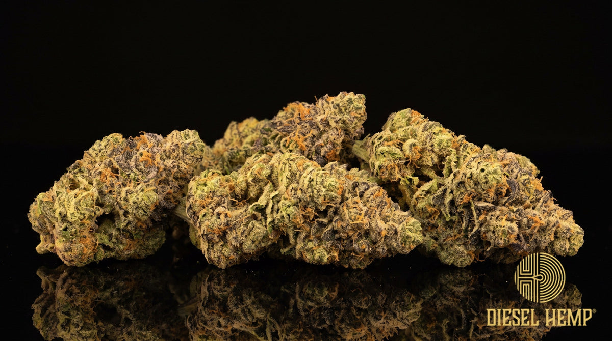 Watermelon strain cannabis buds in pale green with pink undertones, orange pistils and heavy trichome frost on a black background | Diesel Hemp