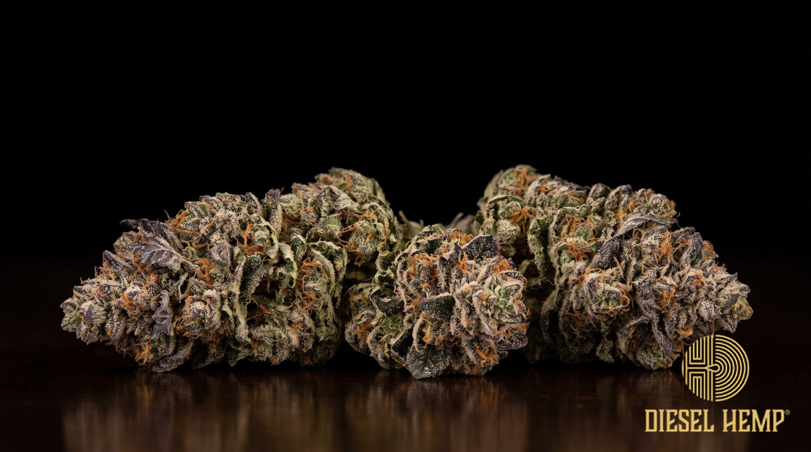 Wedding Crasher strain cannabis buds in deep forest green with violet flecks, thin orange pistils and a heavy trichome frost on a black background | Diesel Hemp