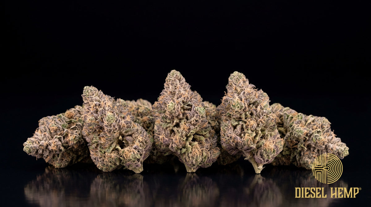 Wedding Pie strain cannabis buds in olive green with purple hints, dark orange pistils and a thick white trichome coat on a black background | Diesel Hemp
