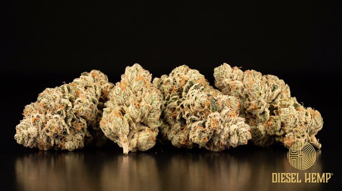 White Tahoe Cookies strain cannabis buds, olive green with purple undertones, amber pistils and a heavy white trichome frost on a black background | Diesel Hemp