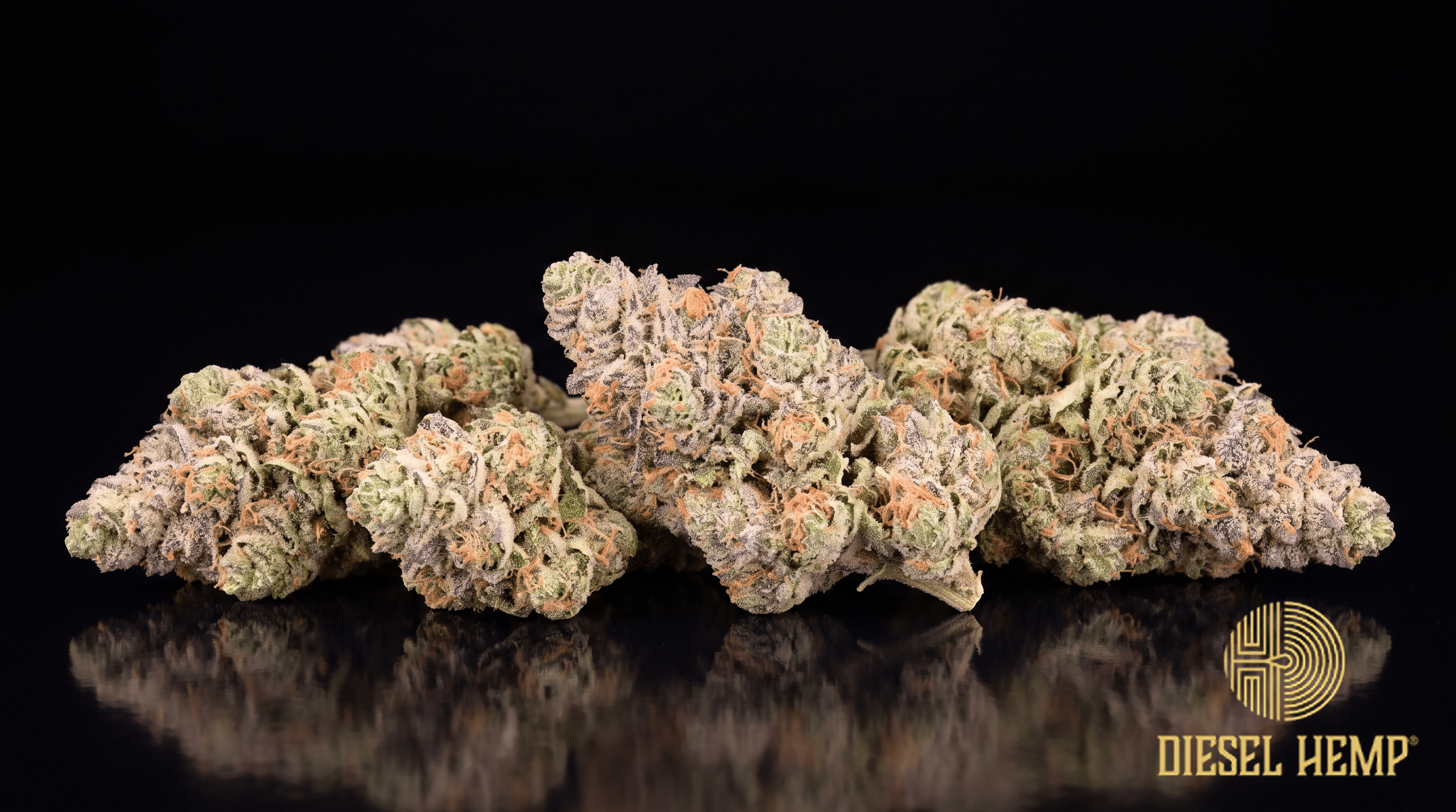 Zoap strain - frosted mint green cannabis buds with lavender undertones and coral pistils on black - Diesel Hemp