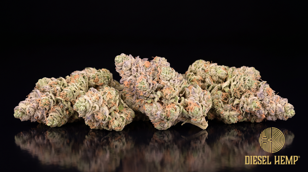 Zoap strain - frosted mint green cannabis buds with lavender undertones and coral pistils on black - Diesel Hemp