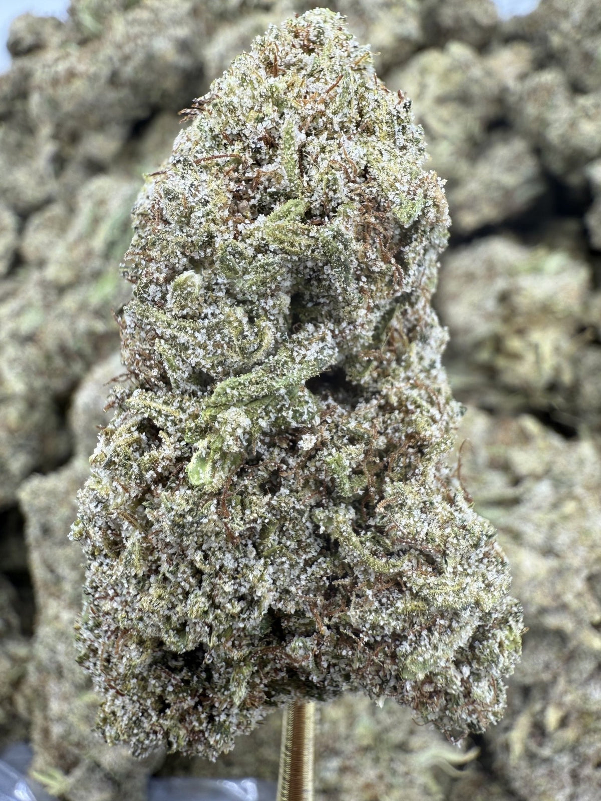 Chemdawg Super Sativa EPN flower greenhouse wholesale pound