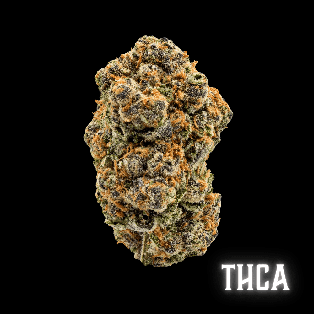 THCA Flower - Blueberry Pancakes