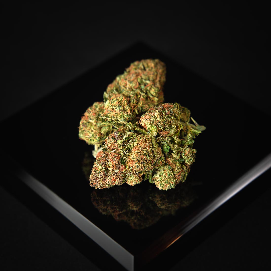flower_abacus_diesel_flower_onlyweb