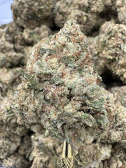 Florida Kush THCP flower sungrown wholesale pound