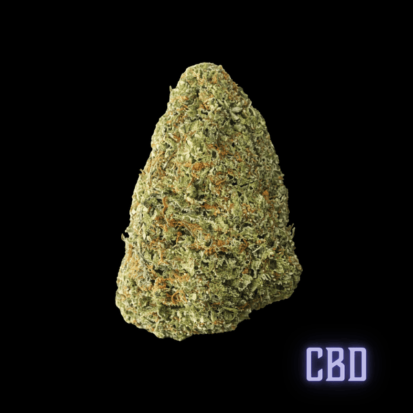 CBD Flower - Inzane Abacus – Diesel hemp