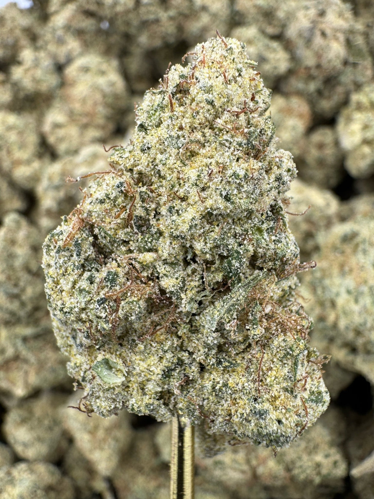 Lemonati THCP flower greenhouse wholesale pound