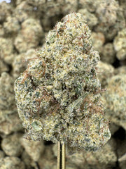 Lemonati THCP flower greenhouse wholesale pound