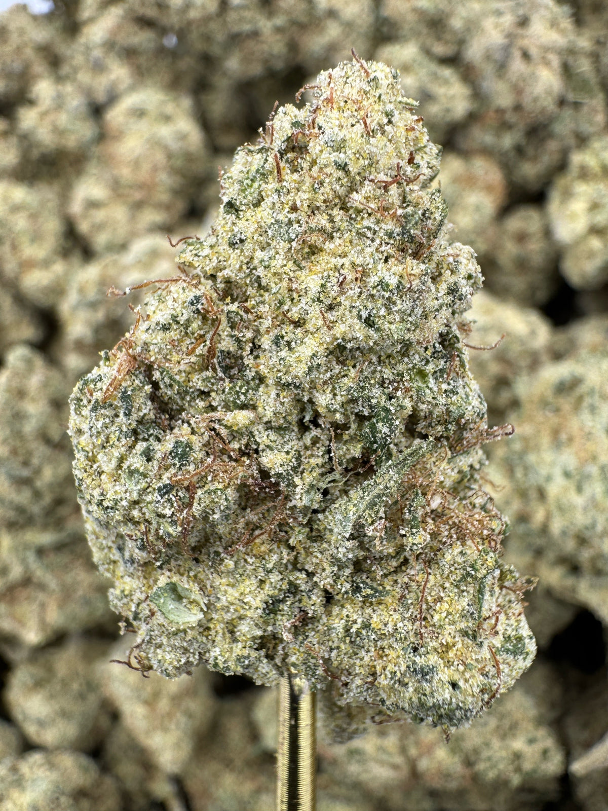 Lemonati THCP flower greenhouse wholesale pound