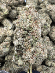 Strawberry Cough THCP flower sungrown wholesale pound