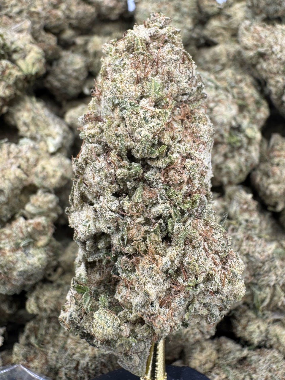 Strawberry Cough THCP flower sungrown wholesale pound
